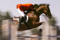 Queens Cup Steeplechase